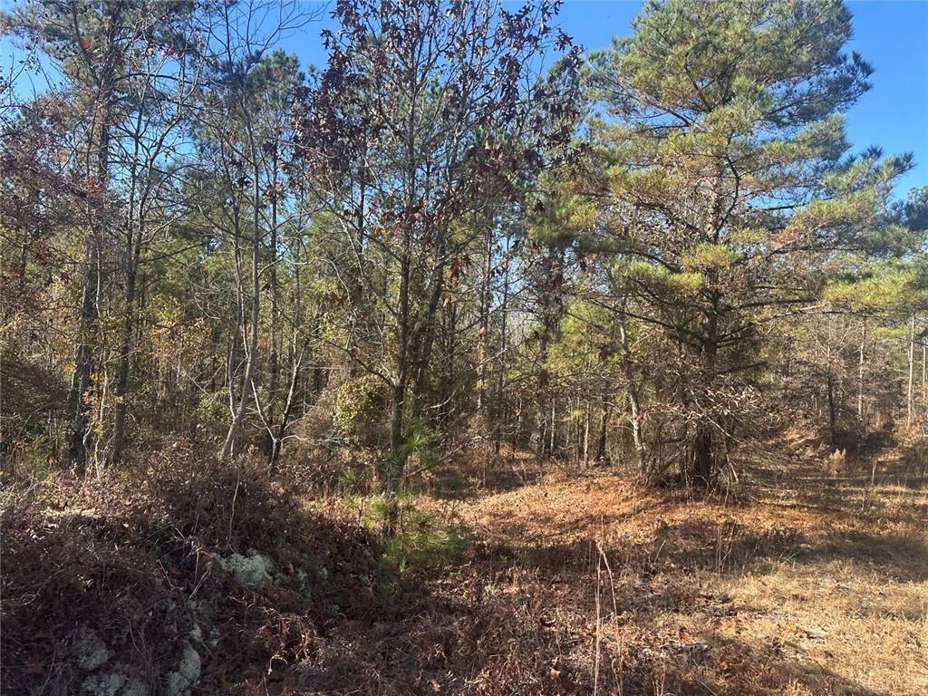 0 North Indian Trail Road Sandersville, GA 31082 - Photo 17 of 26