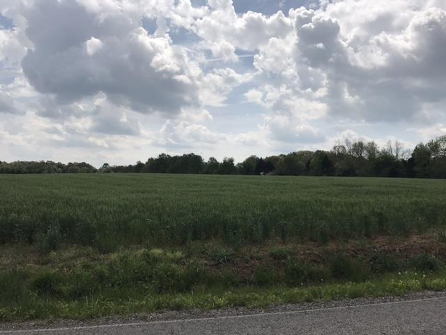 0 North Sumner Road Westmoreland, TN 37186 - Photo 11 of 18 Gallery Image 11