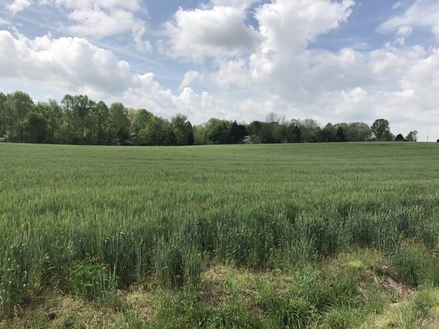 0 North Sumner Road Westmoreland, TN 37186 - Photo 13 of 18 Gallery Image 13