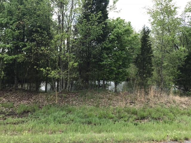 0 North Sumner Road Westmoreland, TN 37186 - Photo 17 of 18 Gallery Image 17