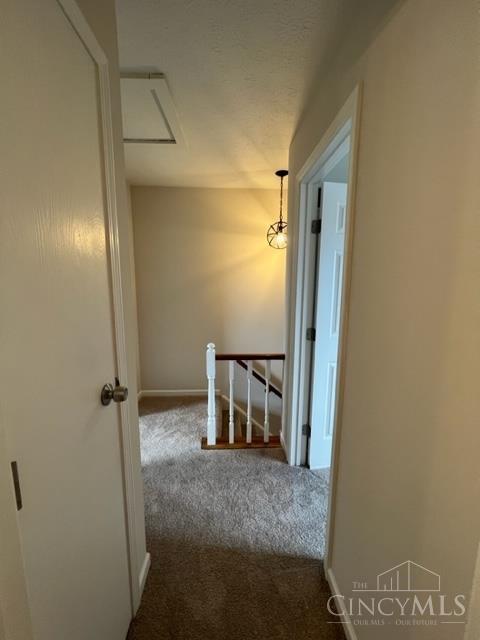 5654 Cheviot Road, Unit 2 Cincinnati, OH 45247 - Photo 20 of 31