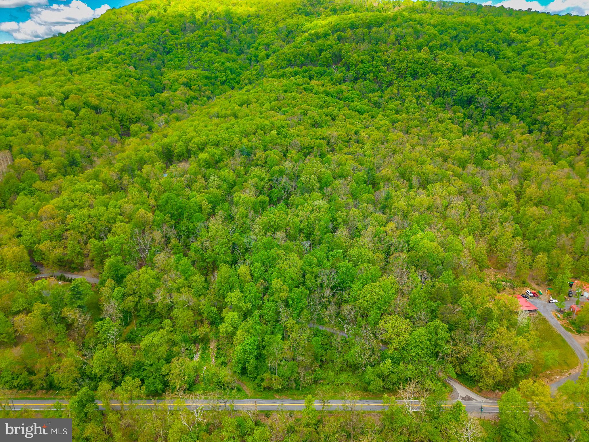 7 Dumpling Run Road Moorefield, WV 26836 - Photo 12 of 26