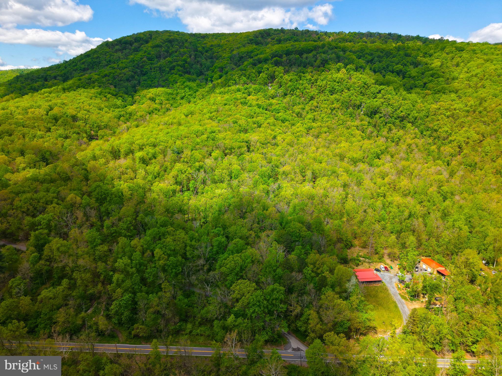 7 Dumpling Run Road Moorefield, WV 26836 - Photo 4 of 26