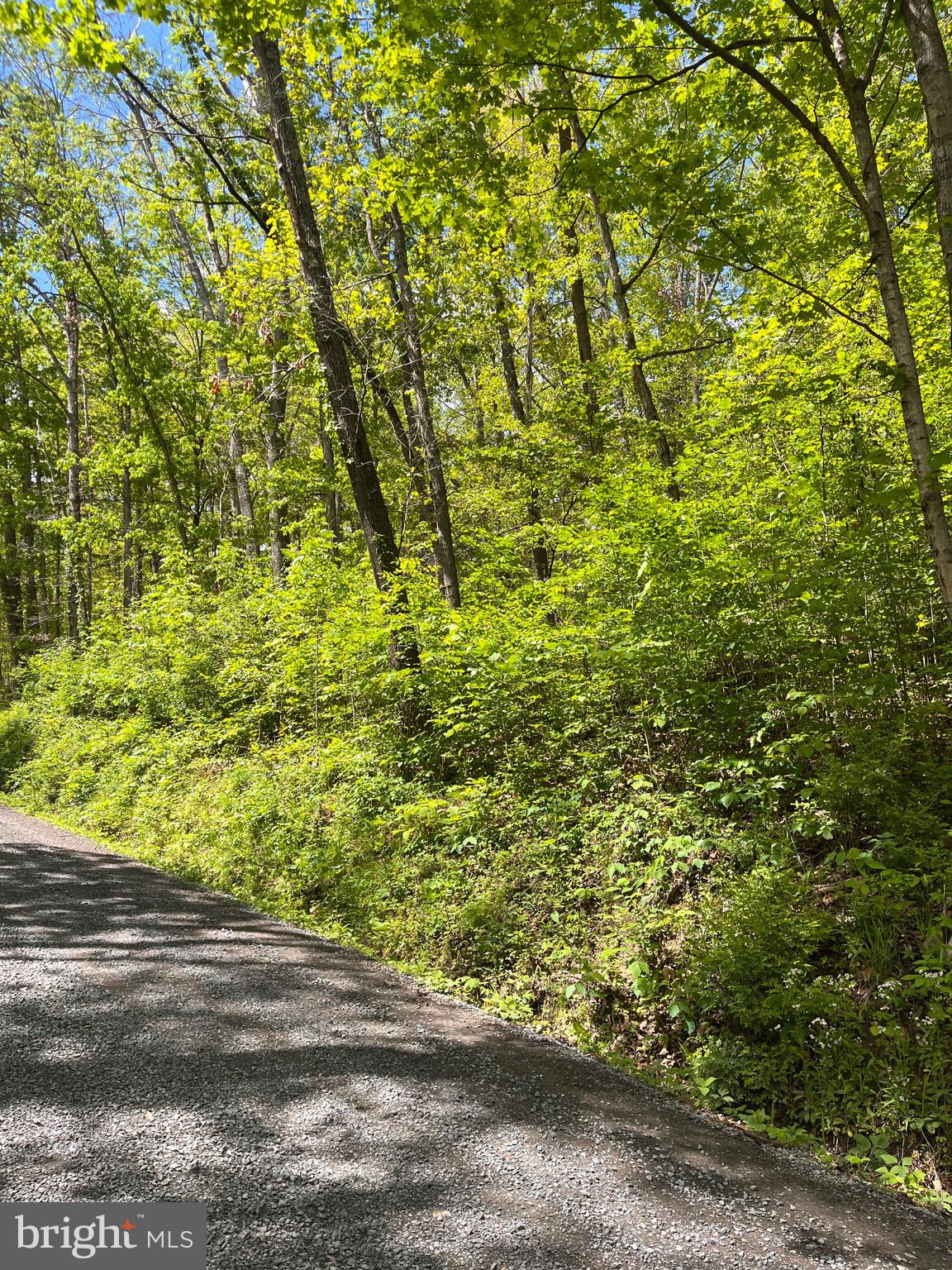 7 Dumpling Run Road Moorefield, WV 26836 - Photo 6 of 26