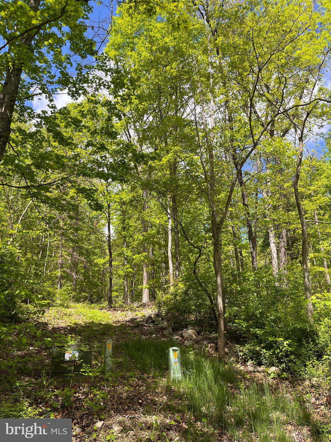 7 Dumpling Run Road Moorefield, WV 26836 - Photo 8 of 26