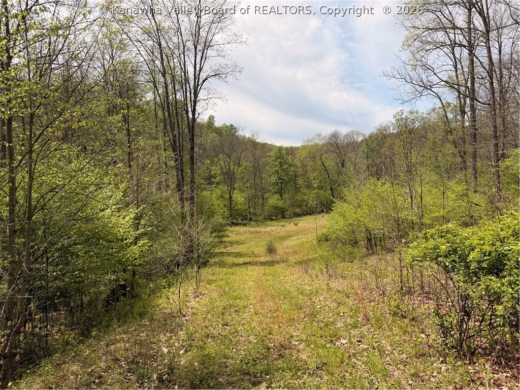 0 Cochran Road Thornton, WV 26440 - Photo 2 of 4 Gallery Image 2