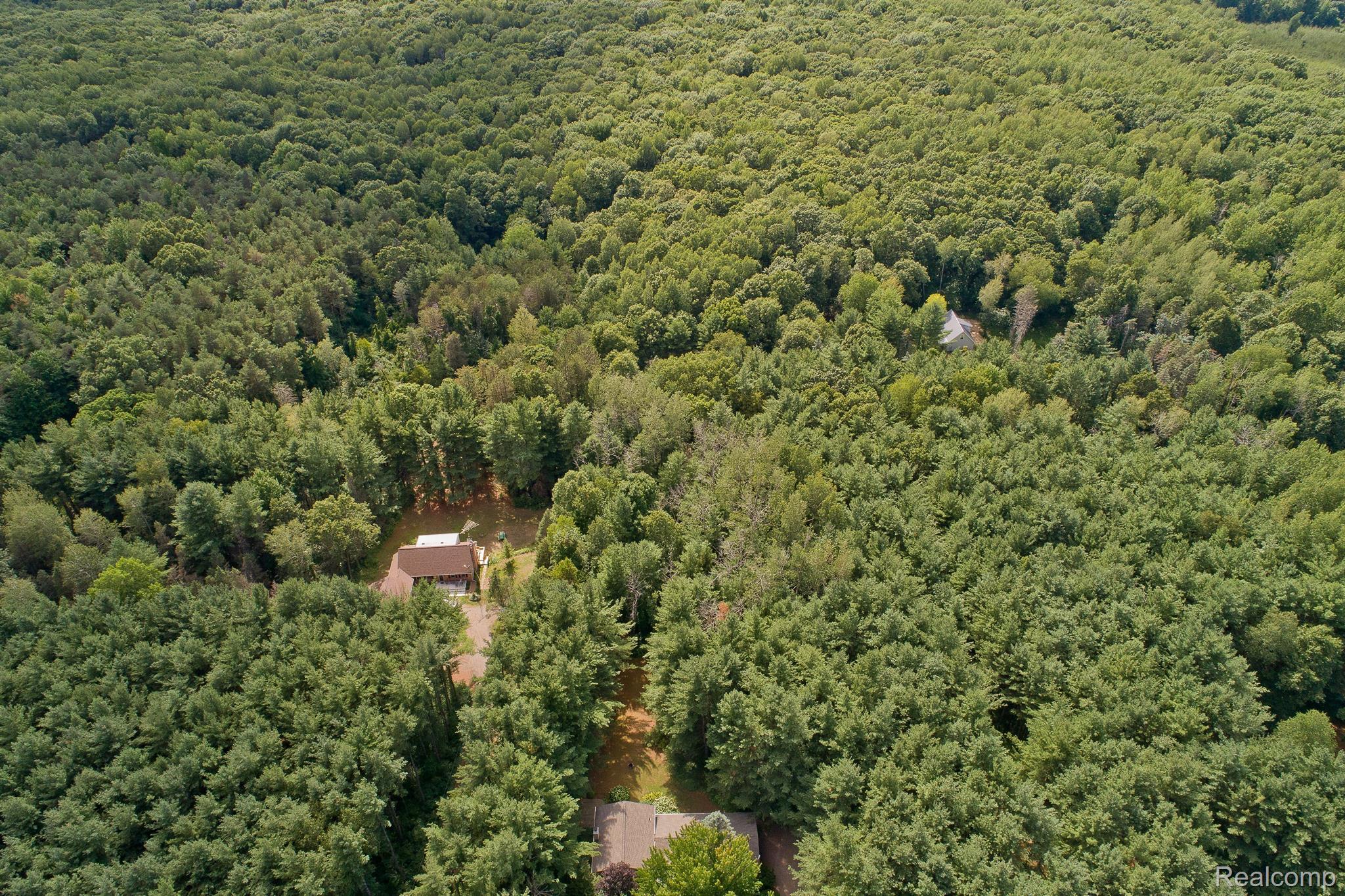 3211 Roods Lake Road Lapeer, MI 48446 - Photo 10 of 35 Surrounded by State Land