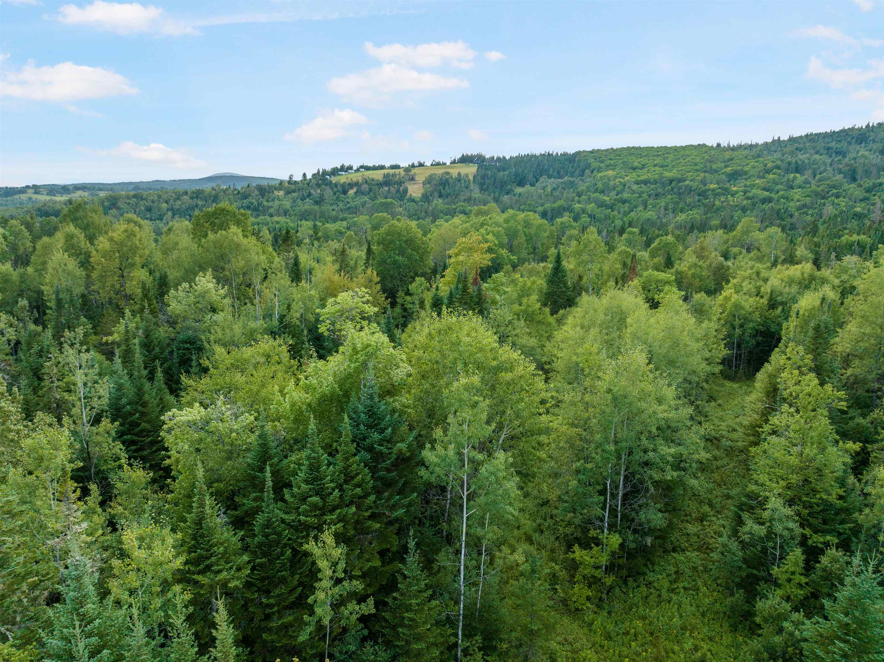 Lot 6 Heath Road Stewartstown, NH 03576 - Photo 11 of 31 Gallery Image 11