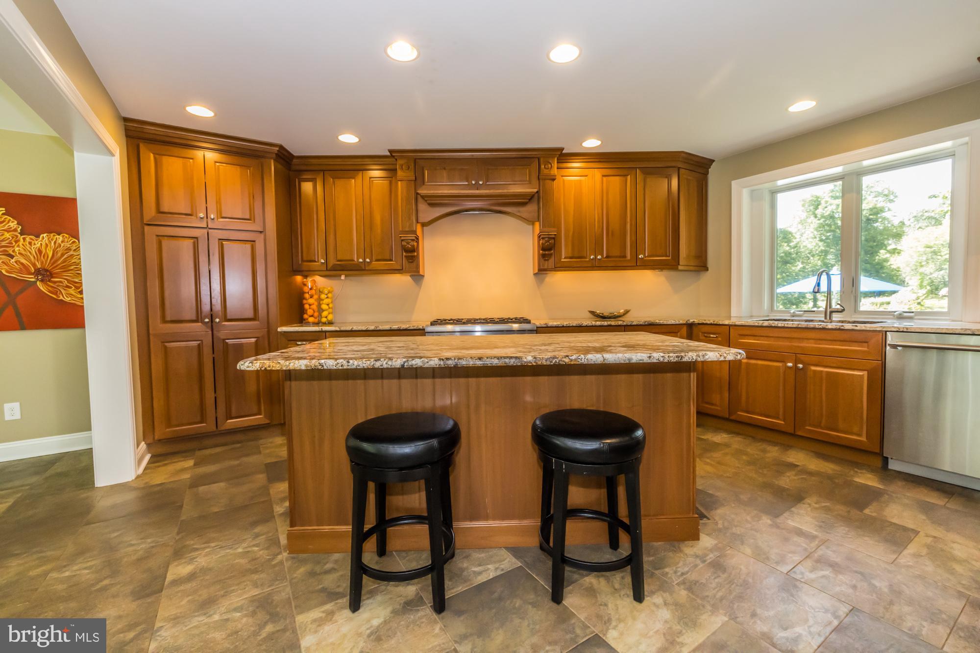 11 Hawk Hill Road Downingtown, PA 19335 - Photo 9 of 64 Gorgeous Kitchen