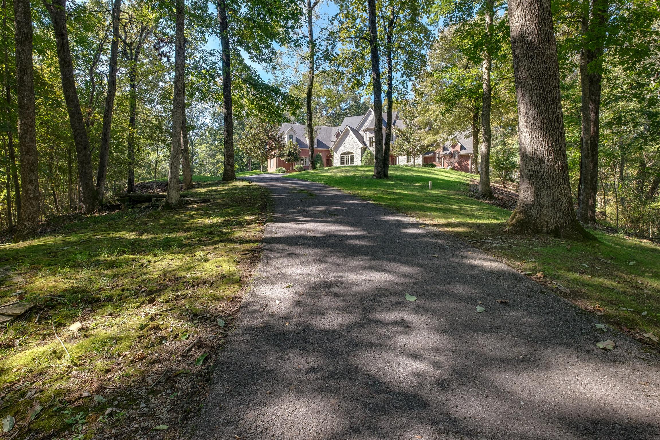 7446 River Rd Pike Nashville, TN 37209 - Photo 3 of 30 a view of a tree in a yard