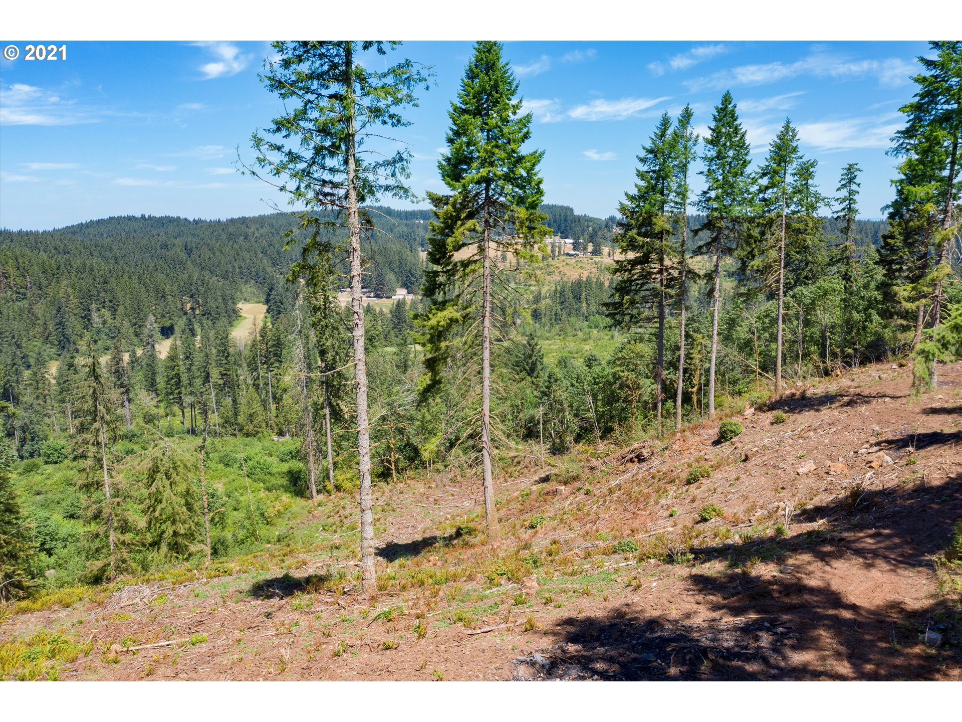 19887 South Mosier Road Oregon City, OR 97045 - Photo 18 of 22 a view of a yard with an trees