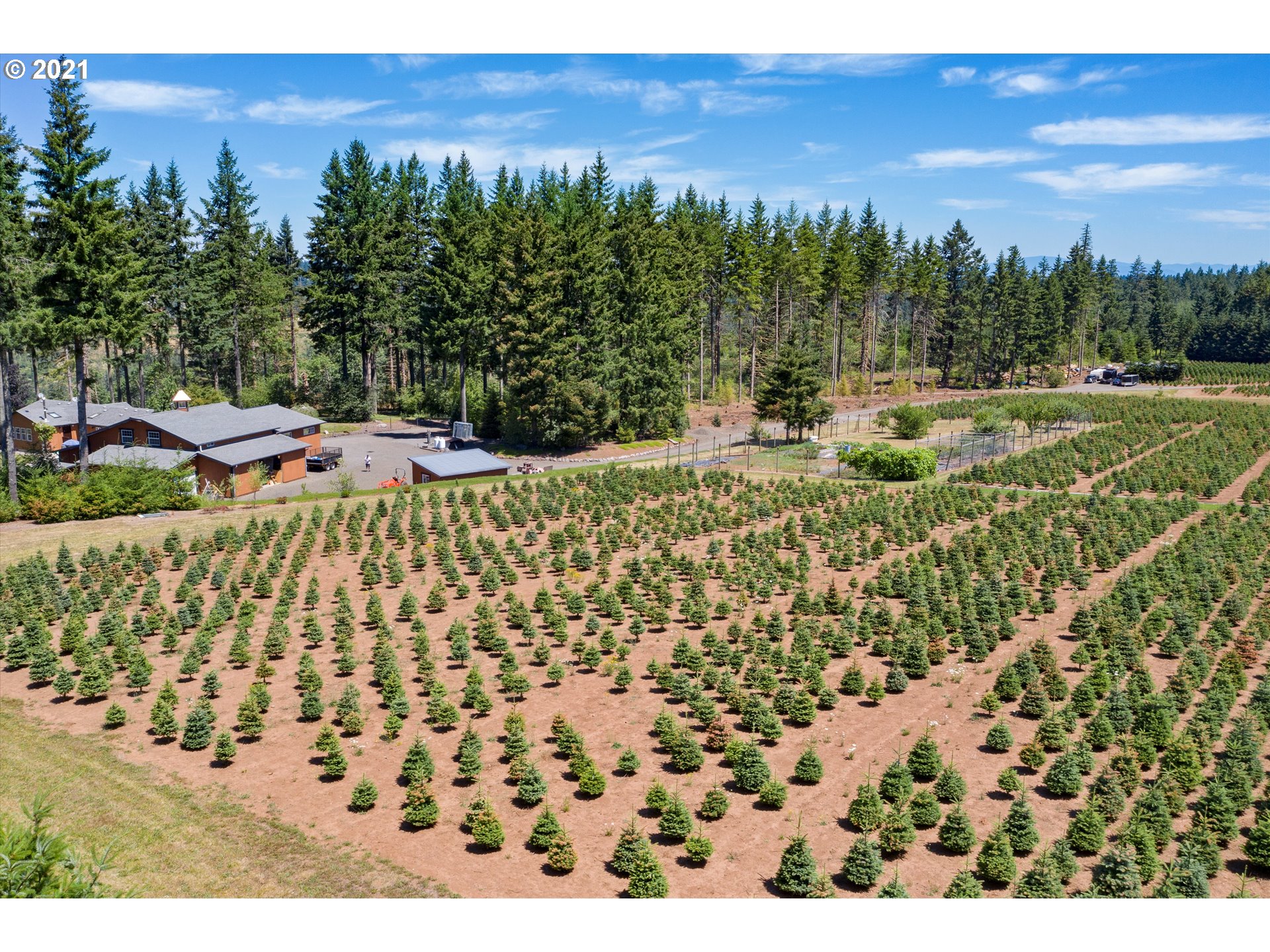 19887 South Mosier Road Oregon City, OR 97045 - Photo 20 of 22 a view of a yard with an outdoor space