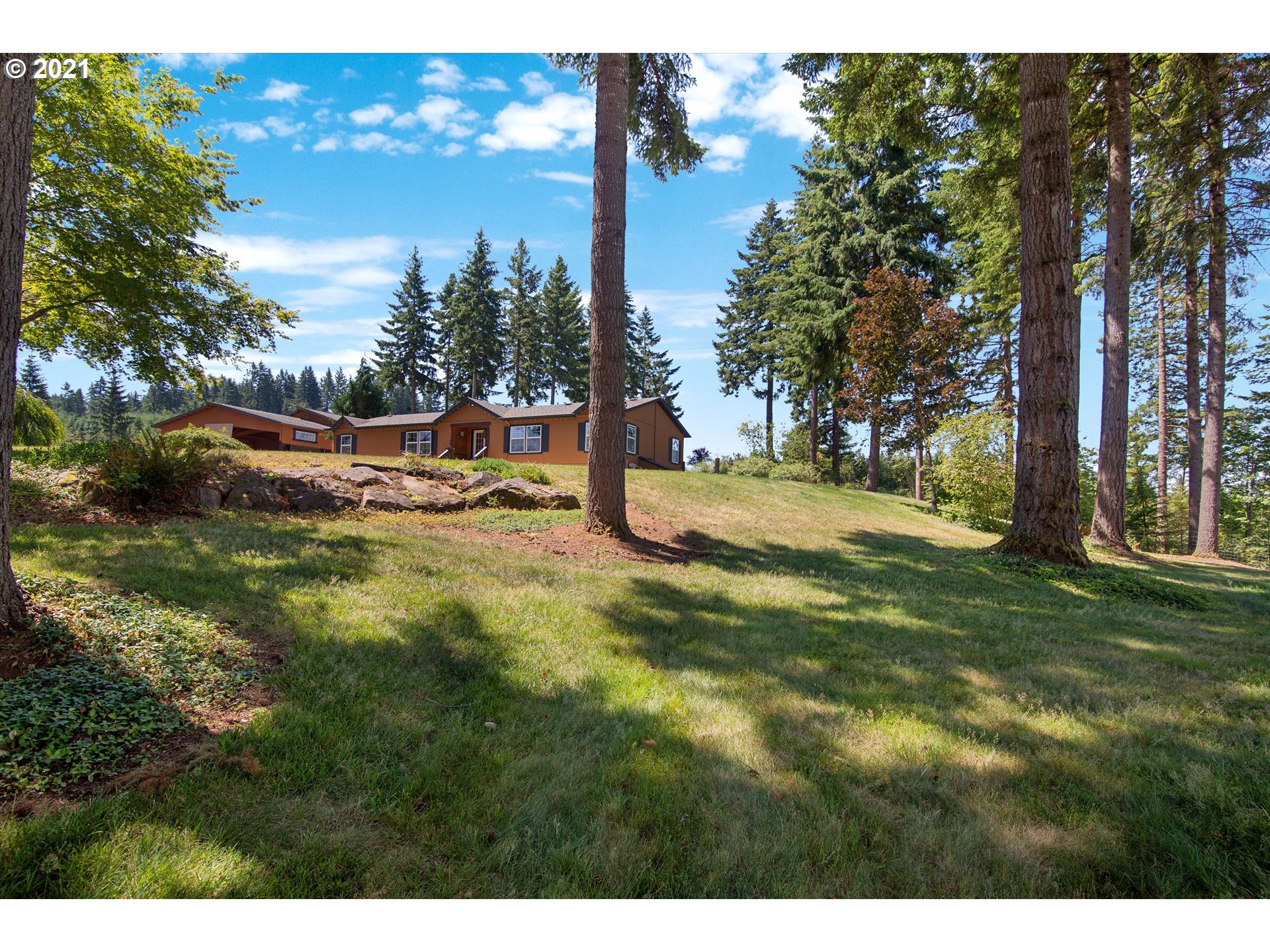 19887 South Mosier Road Oregon City, OR 97045 - Photo 4 of 22 a view of a yard with trees