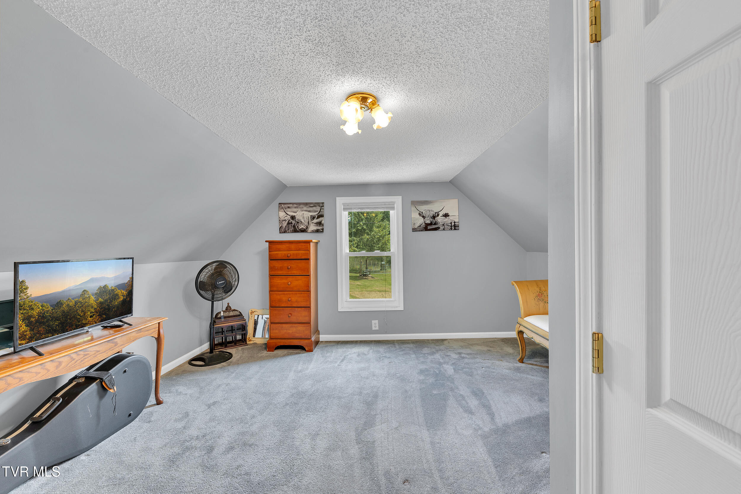 355 Jay Fanning Road Afton, TN 37616 - Photo 40 of 49 26_42