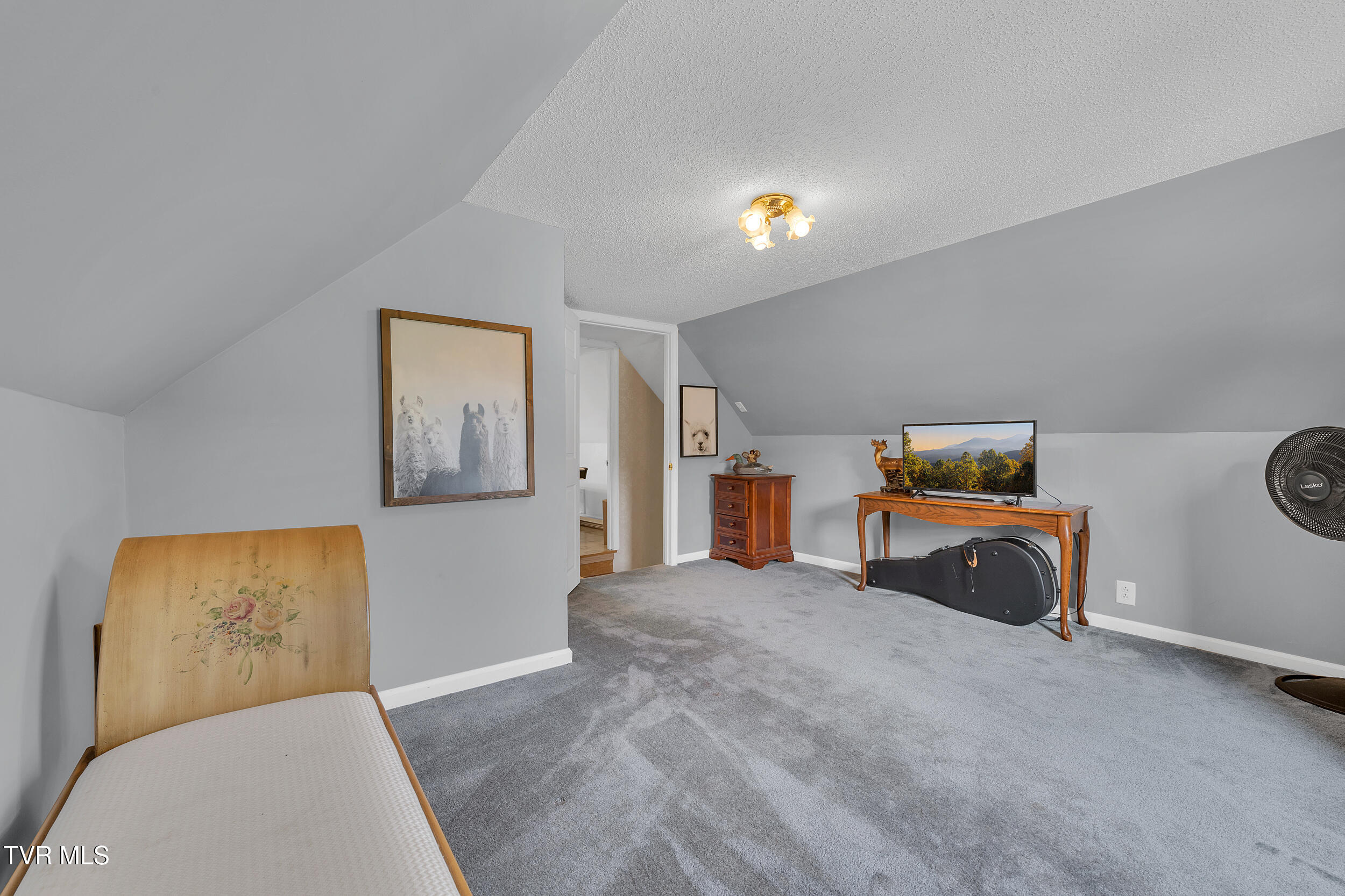 355 Jay Fanning Road Afton, TN 37616 - Photo 41 of 49 28_44