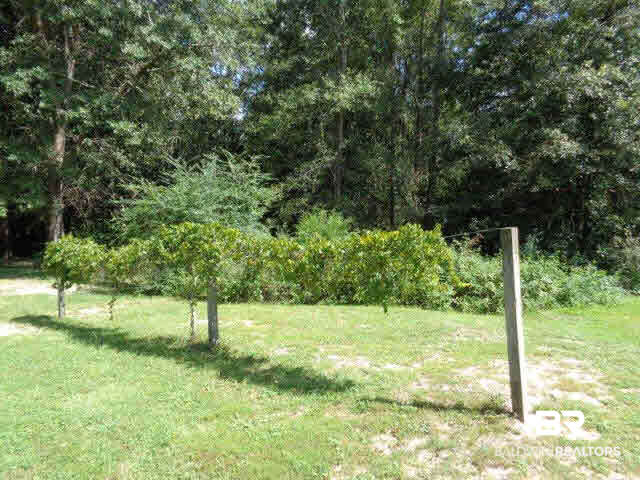 923 Martinville Loop Atmore, AL 36502 - Photo 4 of 24 scuppernong arbor