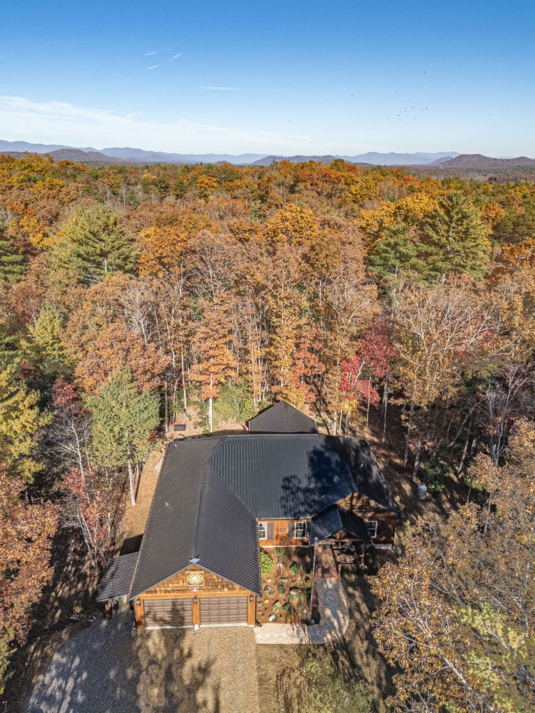 110 Rustic Pne Ridge Murphy, NC 28906 - Photo 43 of 47