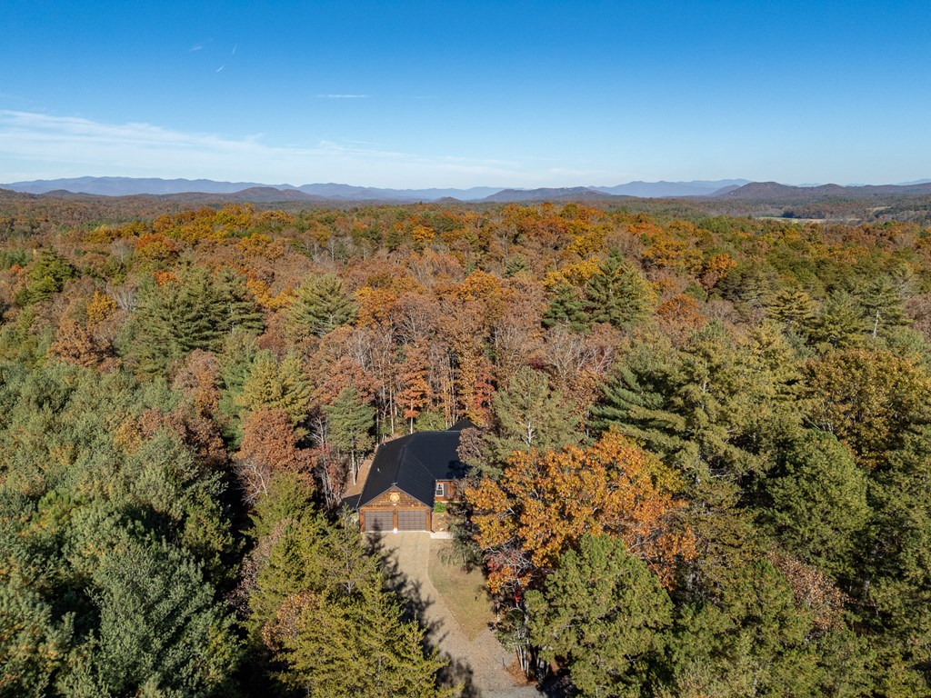 110 Rustic Pne Ridge Murphy, NC 28906 - Photo 45 of 47