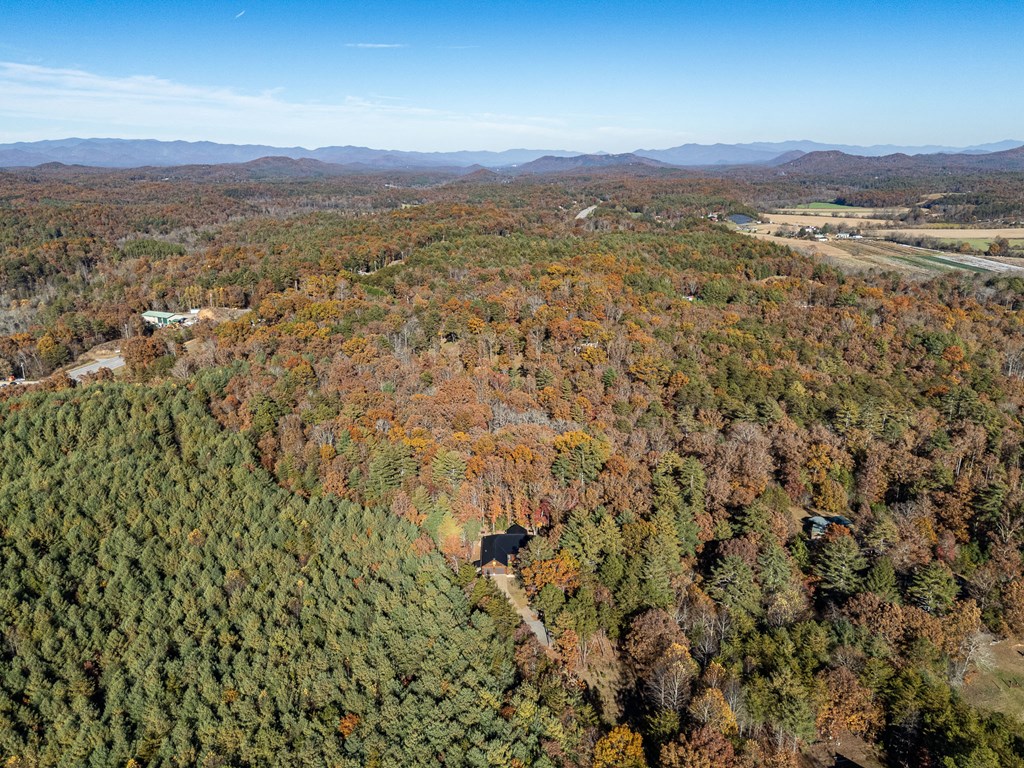 110 Rustic Pne Ridge Murphy, NC 28906 - Photo 46 of 47