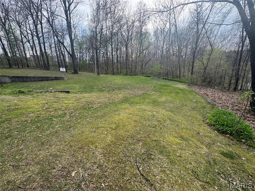 3261 County Road 436 Jackson, MO 63755 - Photo 4 of 10