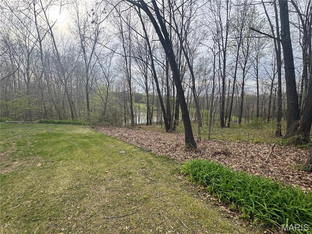 3261 County Road 436 Jackson, MO 63755 - Photo 6 of 10