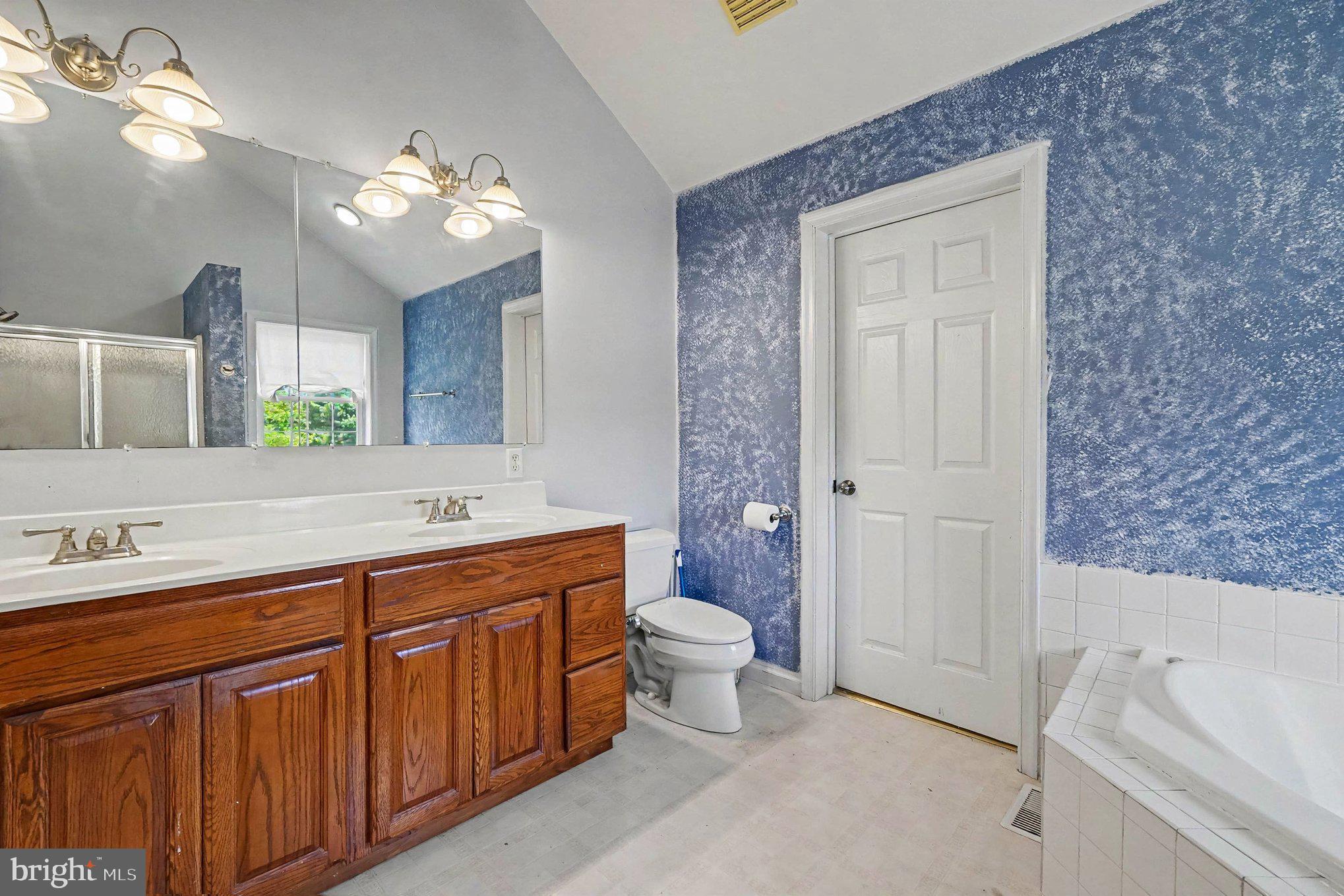 64 Open Meadow Court Elkton, MD 21921 - Photo 32 of 57 a bathroom with a double vanity sink a toilet and a mirror