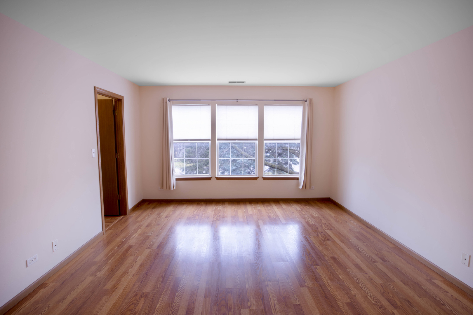 4736 Lacey Avenue Lisle, IL 60532 - Photo 14 of 20 an empty room with wooden floor and windows