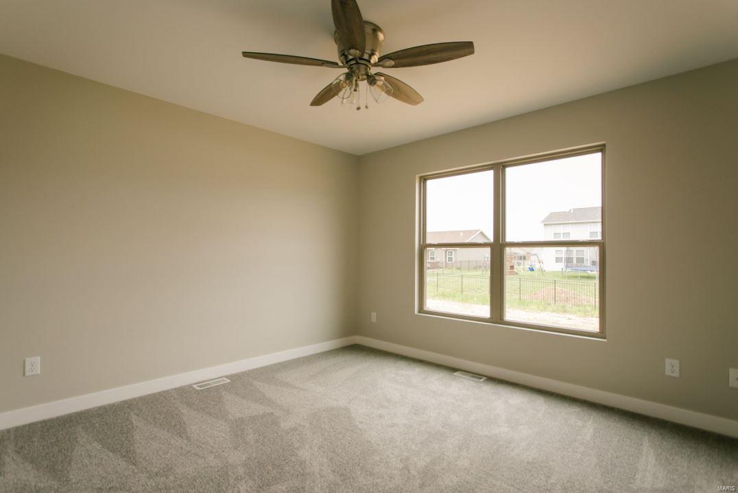 705 Prairie Place Waterloo, IL 62298 - Photo 13 of 20 Gallery Image 13