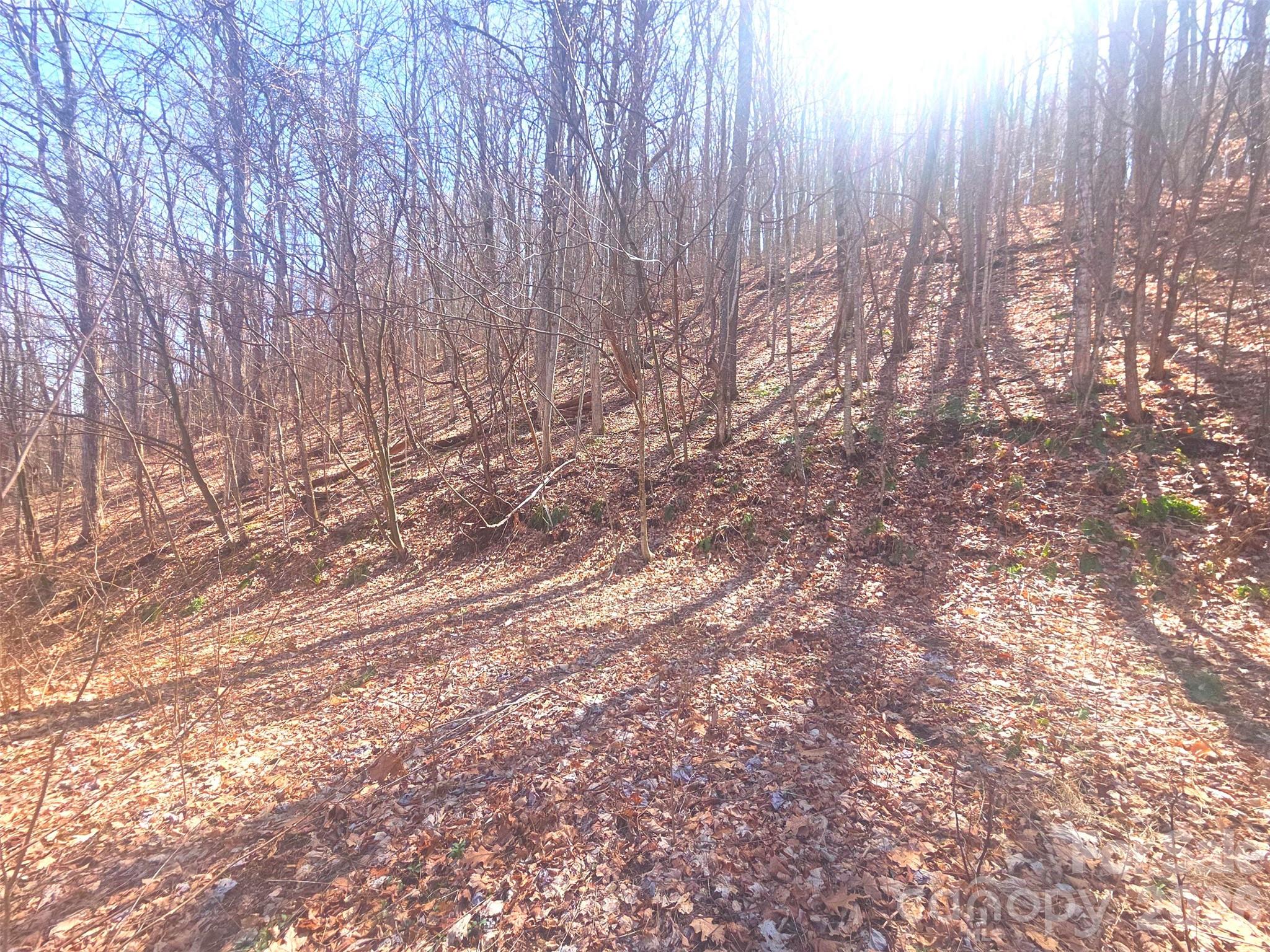 1200 Chestnut Flats Road, Unit 138 Waynesville, NC 28786 - Photo 11 of 23 a view of backyard with wooden fence