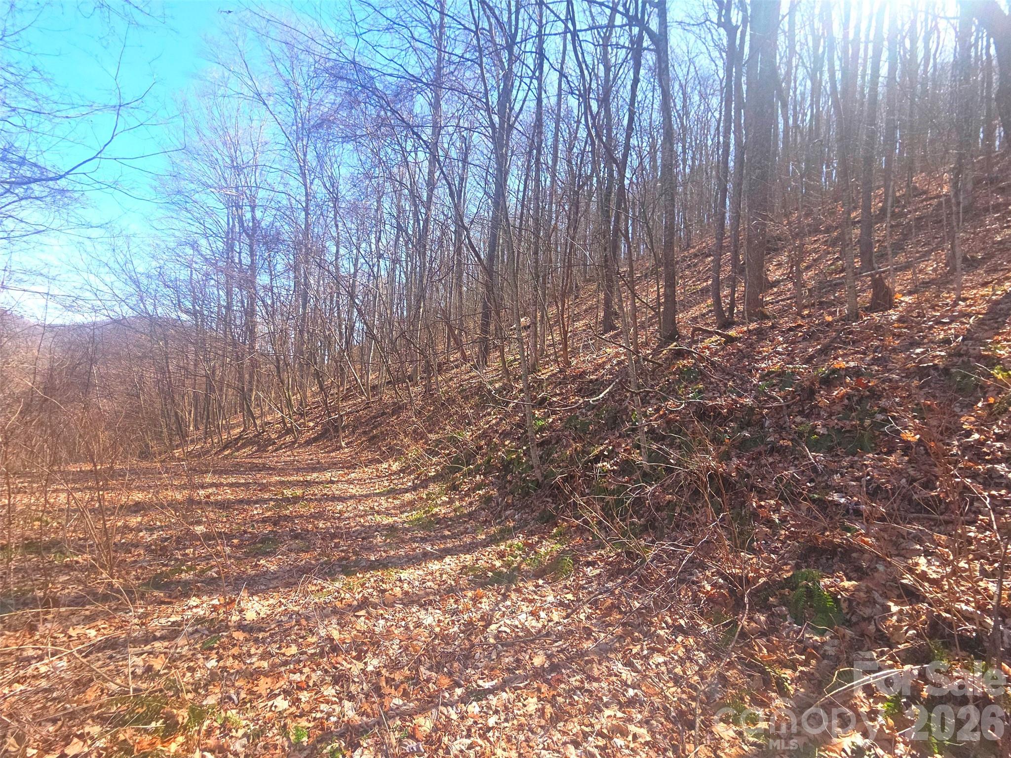 1200 Chestnut Flats Road, Unit 138 Waynesville, NC 28786 - Photo 13 of 23 a view of a backyard with wooden fence