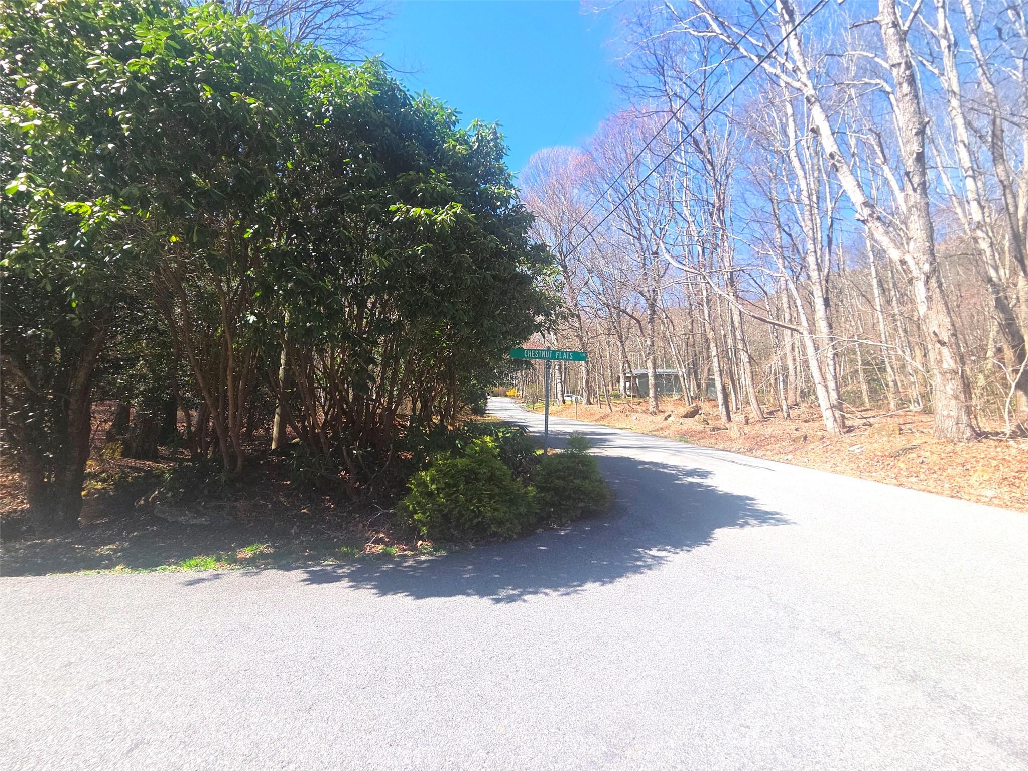 1200 Chestnut Flats Road, Unit 138 Waynesville, NC 28786 - Photo 17 of 23 a view of road with trees