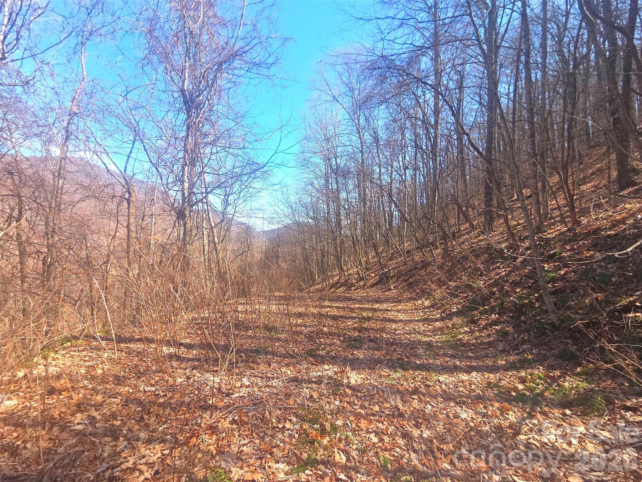 1200 Chestnut Flats Road, Unit 138 Waynesville, NC 28786 - Photo 20 of 23 a view of dirt field with trees in the background