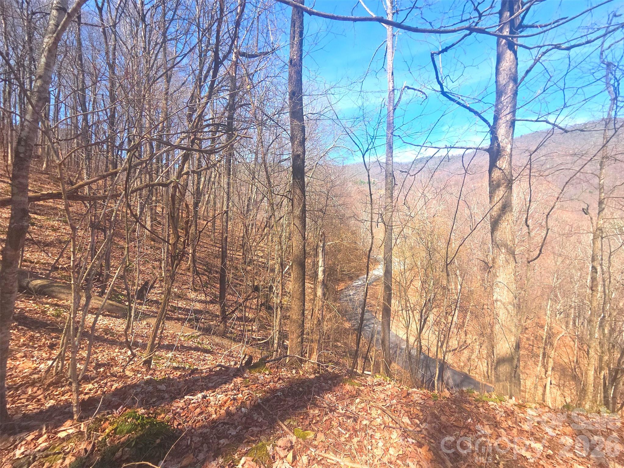 1200 Chestnut Flats Road, Unit 138 Waynesville, NC 28786 - Photo 2 of 23 a view of house with yard