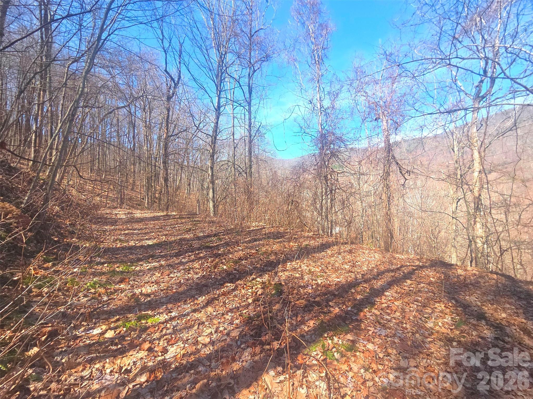 1200 Chestnut Flats Road, Unit 138 Waynesville, NC 28786 - Photo 21 of 23 a view of yard with trees