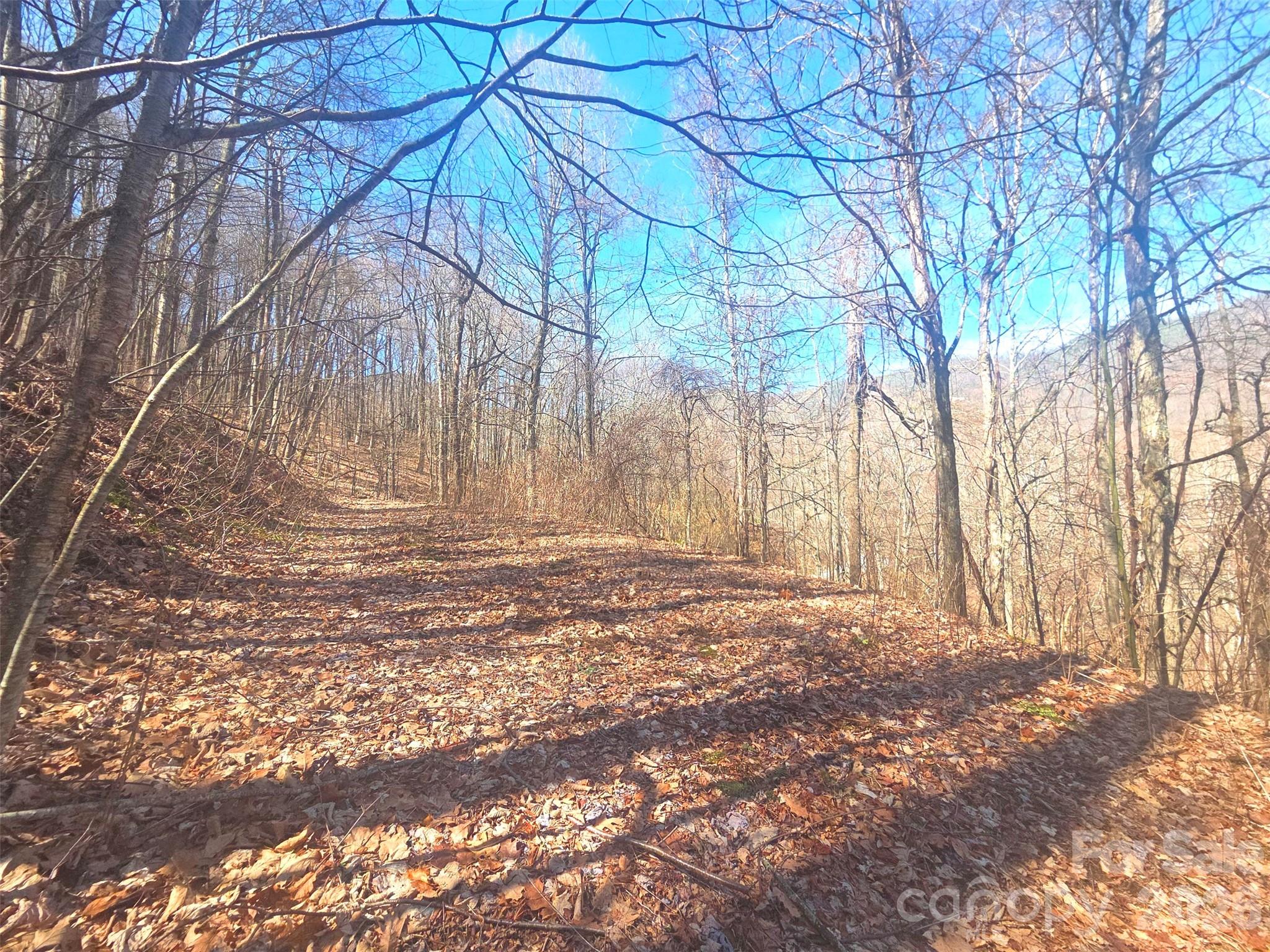 1200 Chestnut Flats Road, Unit 138 Waynesville, NC 28786 - Photo 22 of 23 a view of tree outside of a house