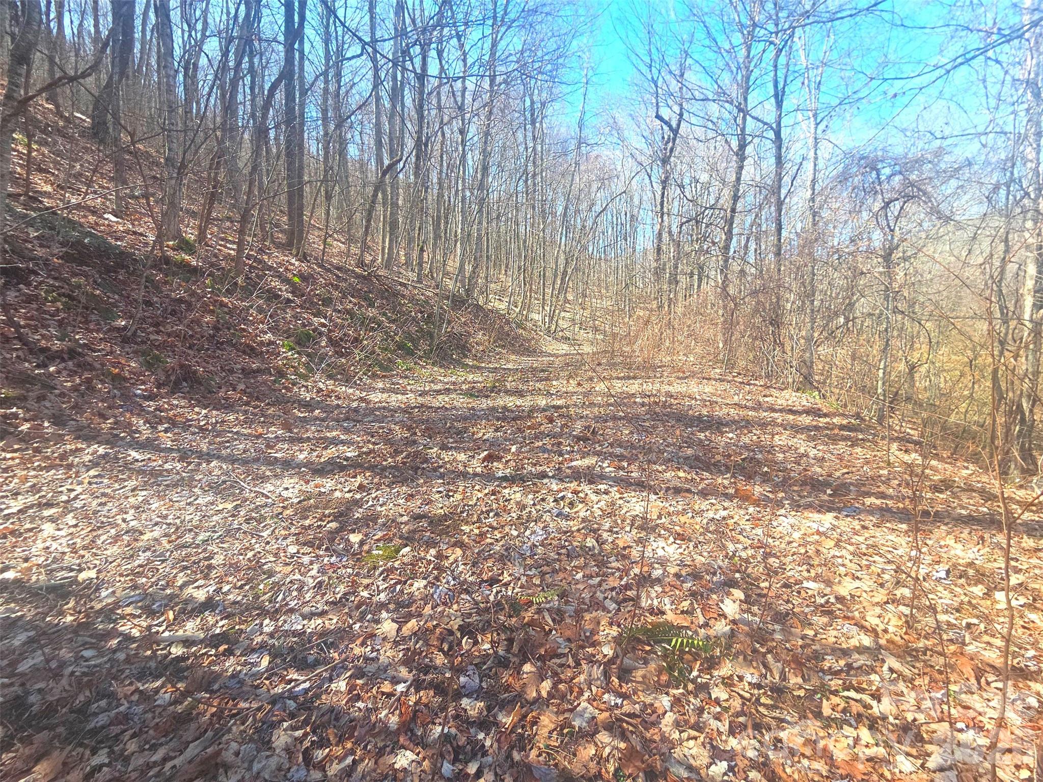 1200 Chestnut Flats Road, Unit 138 Waynesville, NC 28786 - Photo 3 of 23 a view of a yard with large trees