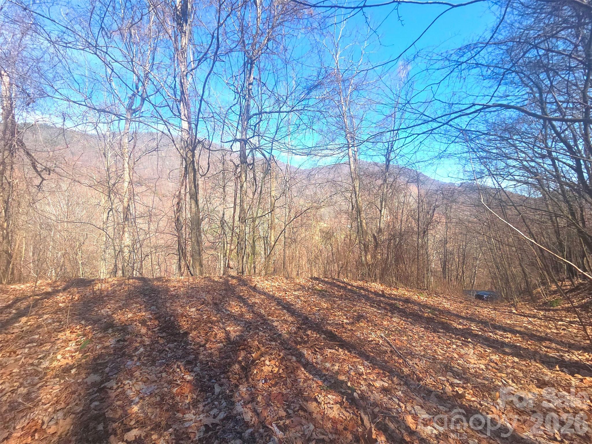 1200 Chestnut Flats Road, Unit 138 Waynesville, NC 28786 - Photo 5 of 23 a view of backyard with large trees