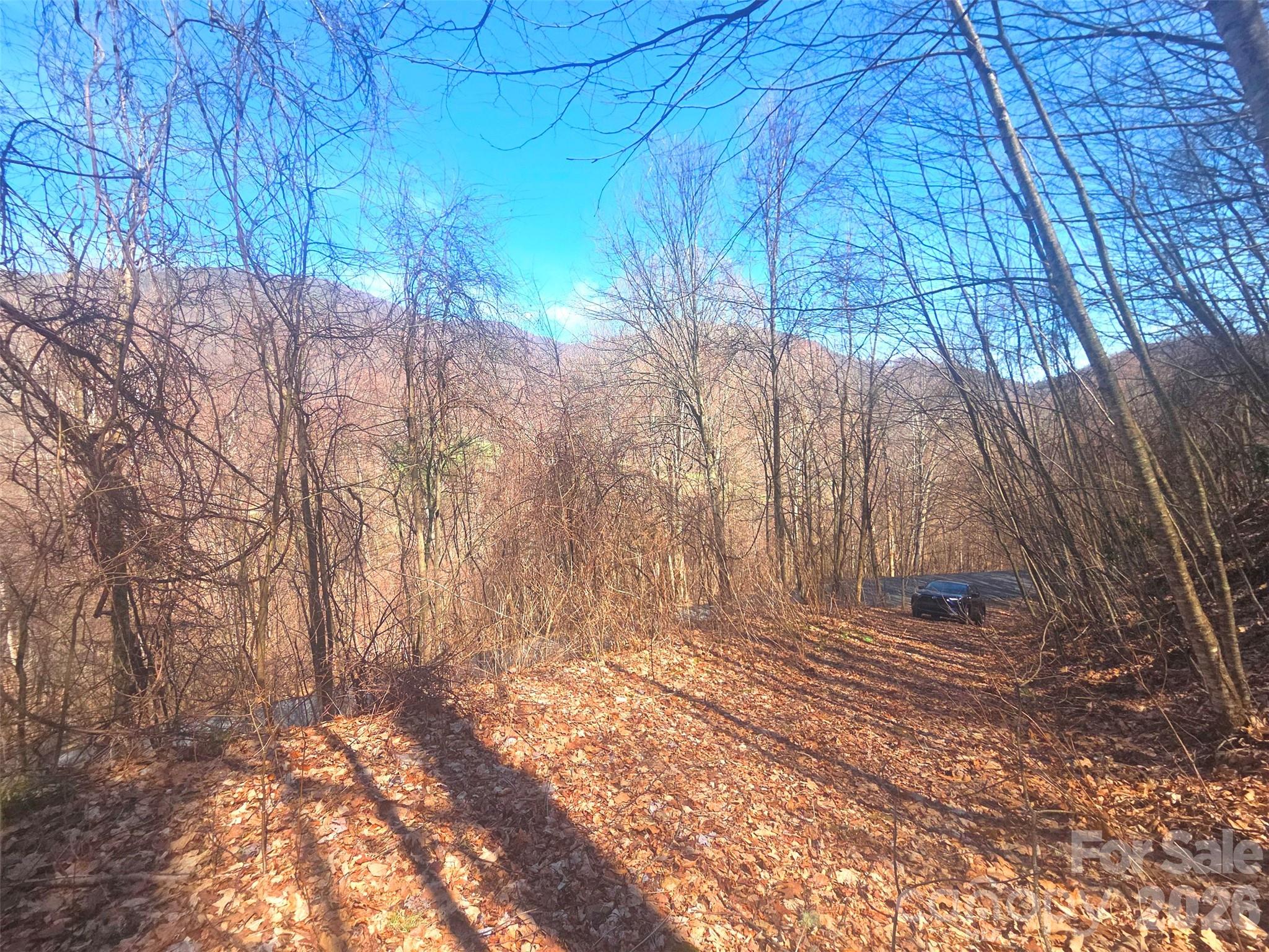 1200 Chestnut Flats Road, Unit 138 Waynesville, NC 28786 - Photo 6 of 23 a view of backyard with tree