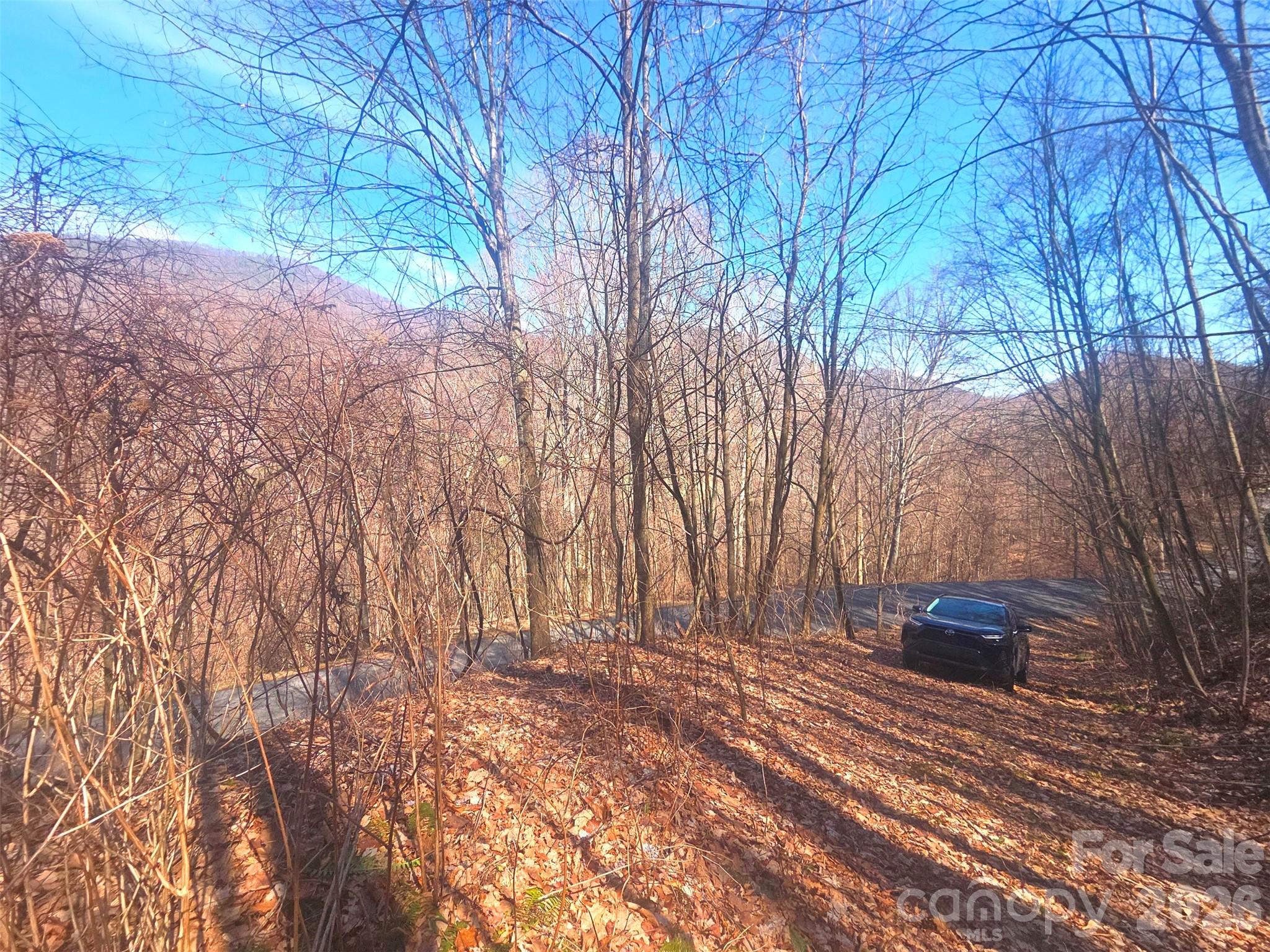 1200 Chestnut Flats Road, Unit 138 Waynesville, NC 28786 - Photo 7 of 23 a backyard of a house with trees
