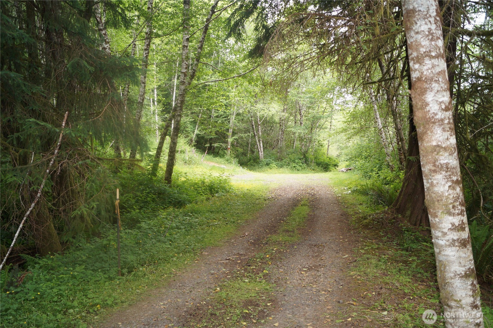 -off Of Panhandle Road Hoquiam, WA 98550 - Photo 10 of 13 Gallery Image 10