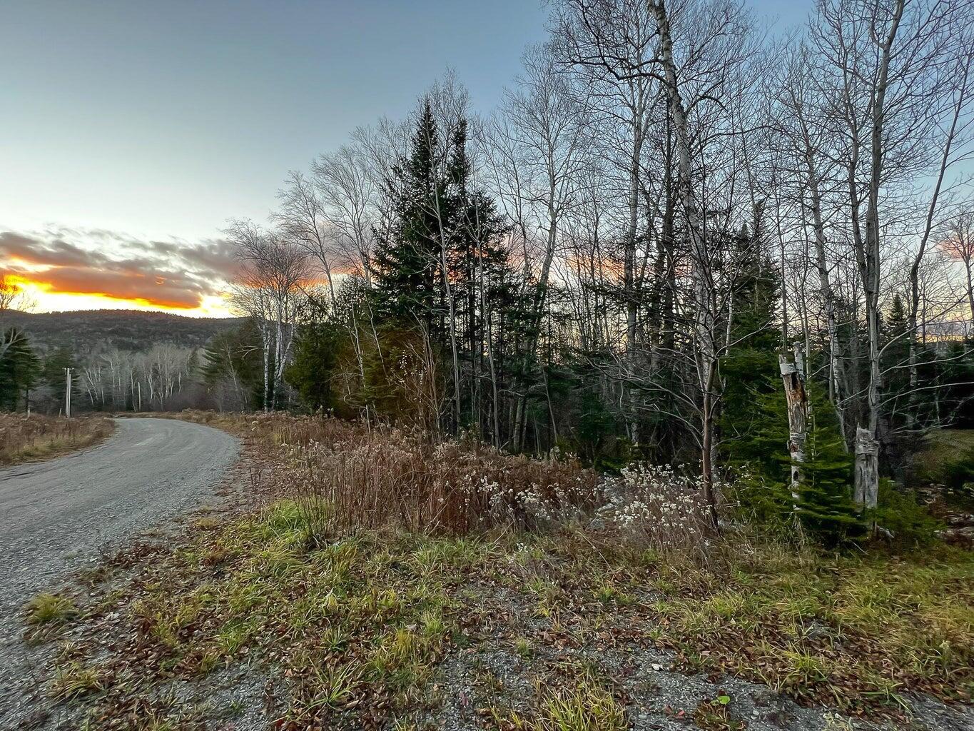 Lot 16 Mill Brook Road Sandy River Plt, ME 04970 - Photo 6 of 44
