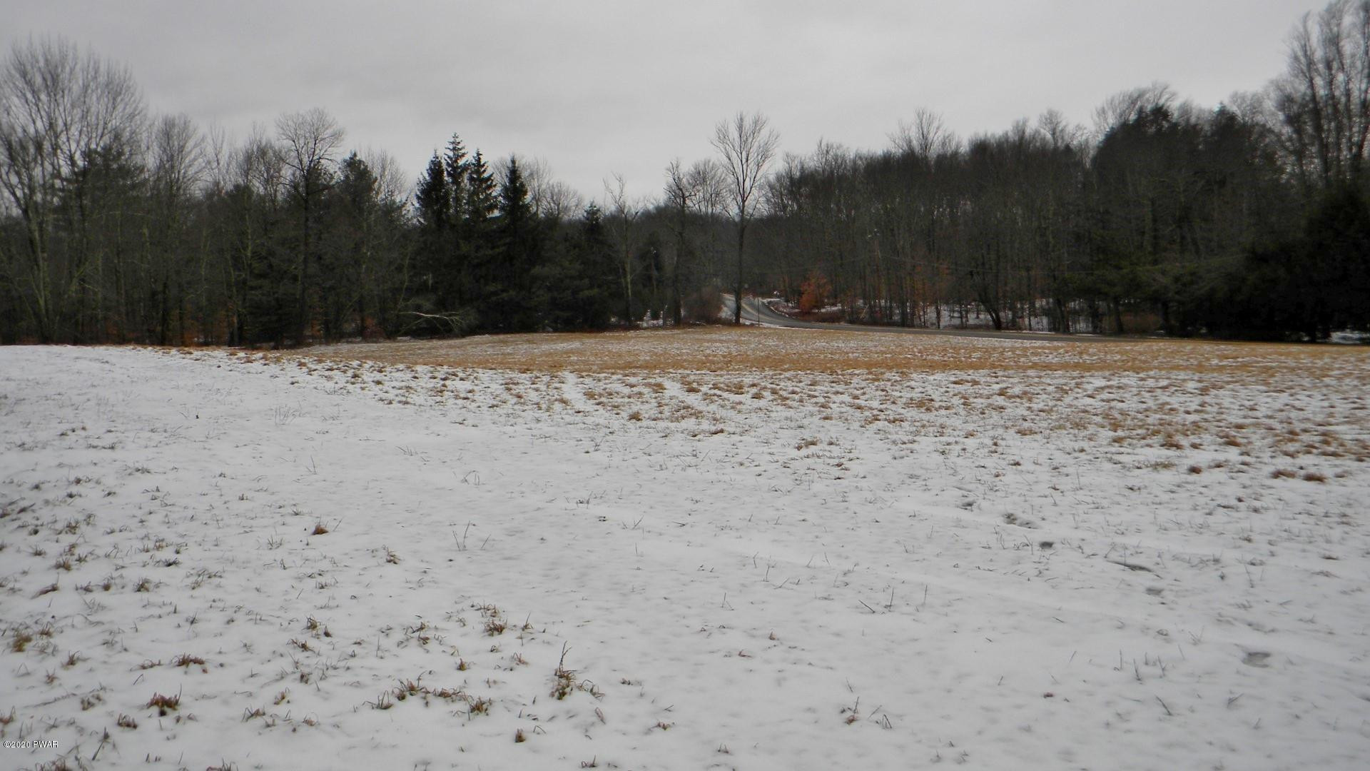 163 Catholic Church Road Beach Lake, PA 18405 - Photo 33 of 37 29-PROPERTY