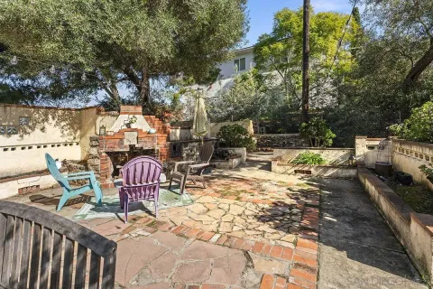 a view of a park with large trees