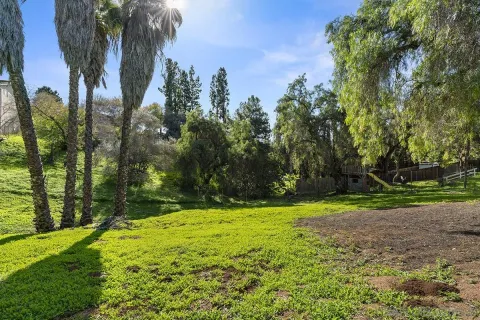 a backyard of a house with lots of green space