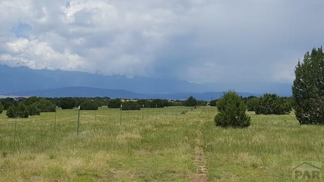 101 William Finlay Drive Rye, CO 81069 - Photo 1 of 1