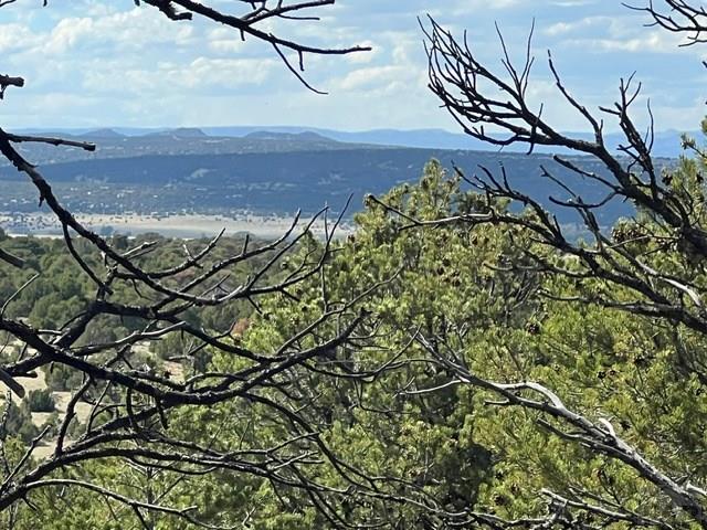 96 River Ridge Trail Walsenburg, CO 81089 - Photo 11 of 28