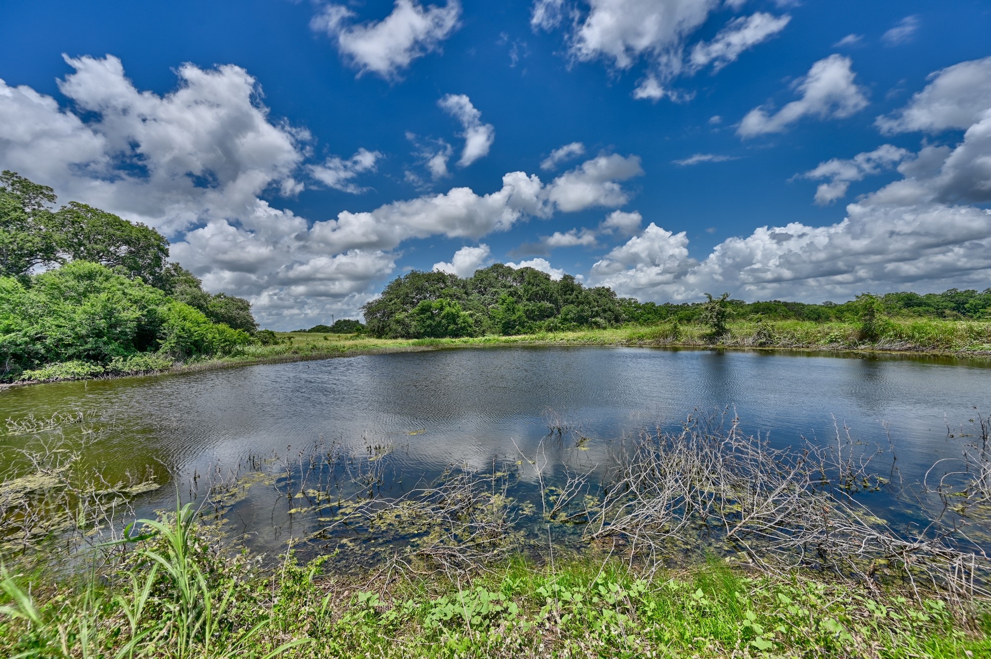 1552 Holub Road Schulenburg, TX 78956 - Photo 44 of 45