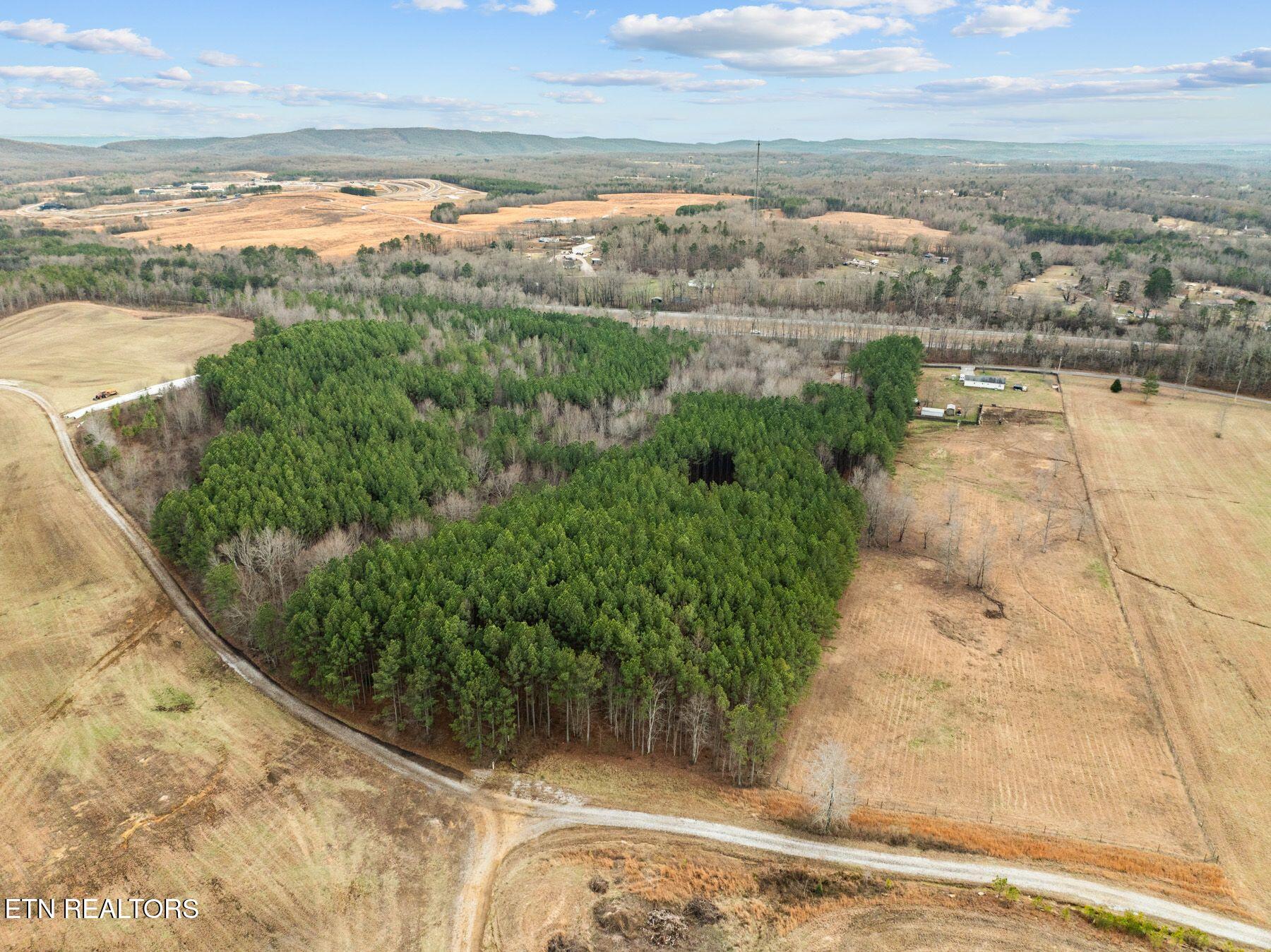 185 Mt Vernal Road Rockwood, TN 37854 - Photo 11 of 28 IMG_8782