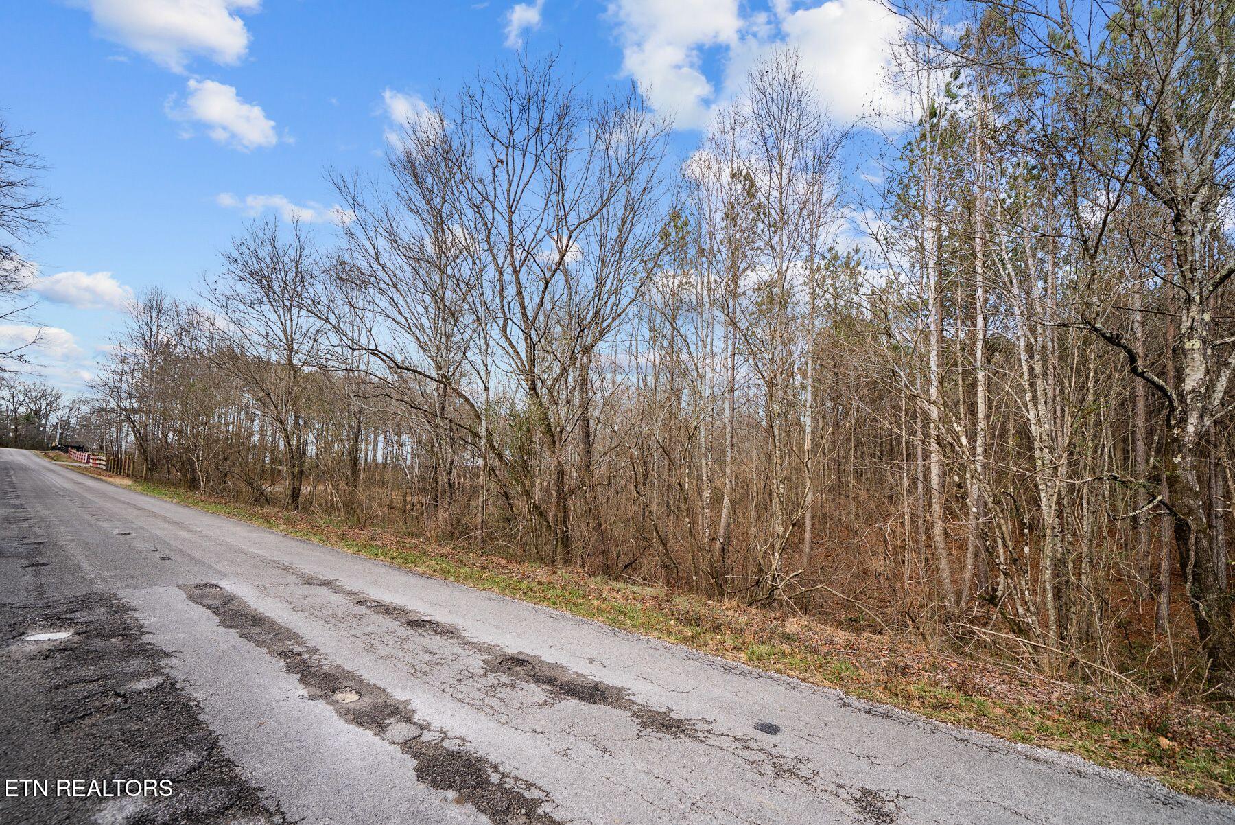 185 Mt Vernal Road Rockwood, TN 37854 - Photo 19 of 28 IMG_8794