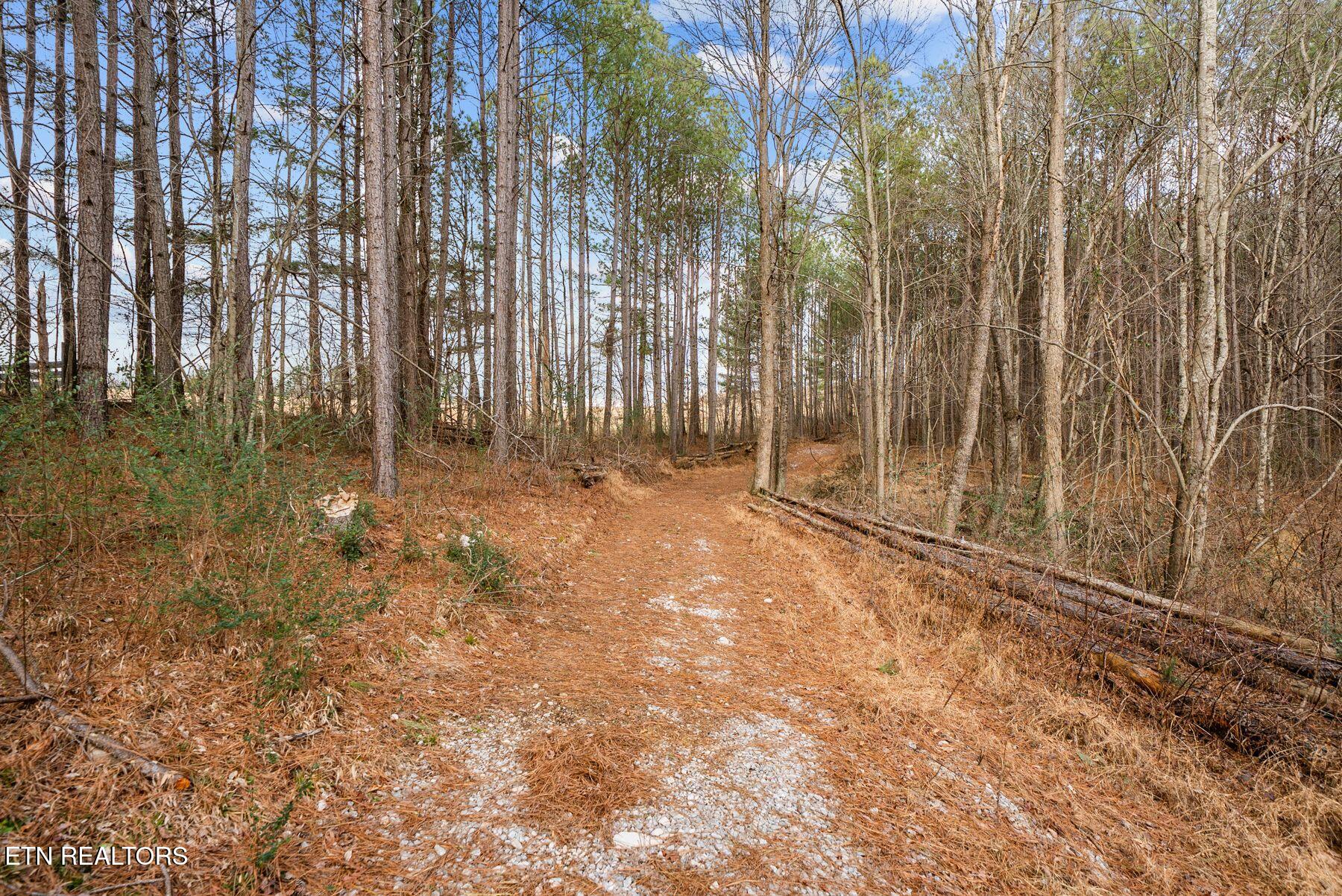 185 Mt Vernal Road Rockwood, TN 37854 - Photo 2 of 28 IMG_8806
